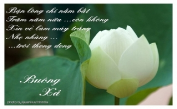 Hãy buông xả tự nhiên
